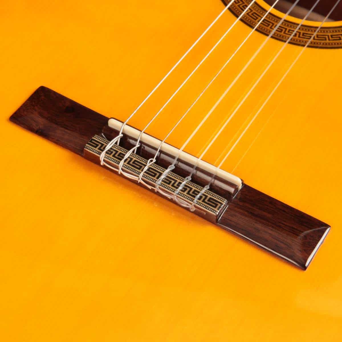 DH69-VG-violao-classico-EAGLE-Pro-Series-DH69-VG-acabamento-vintage-brilhante-detalhe4