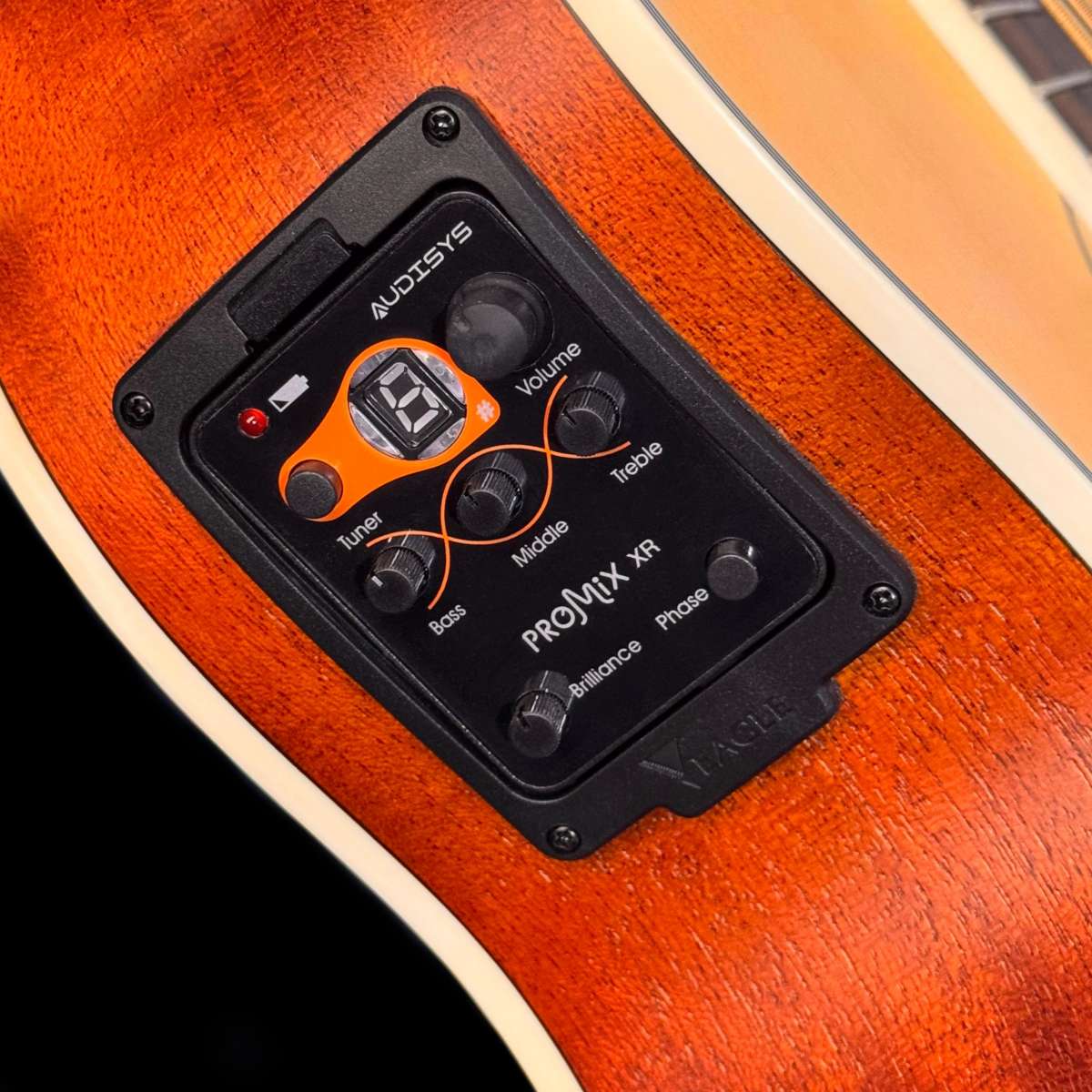 EAB90-STNT-baixolao-eletroacustico-EAGLE-Pro-Series-detalhe06