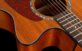 lateral acinturada de viol&atilde;o folk auditorium eagle ema 663 acetinado master series