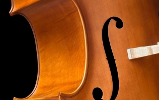 lateral de rabecão baixo orquestral eagle pro series BA260