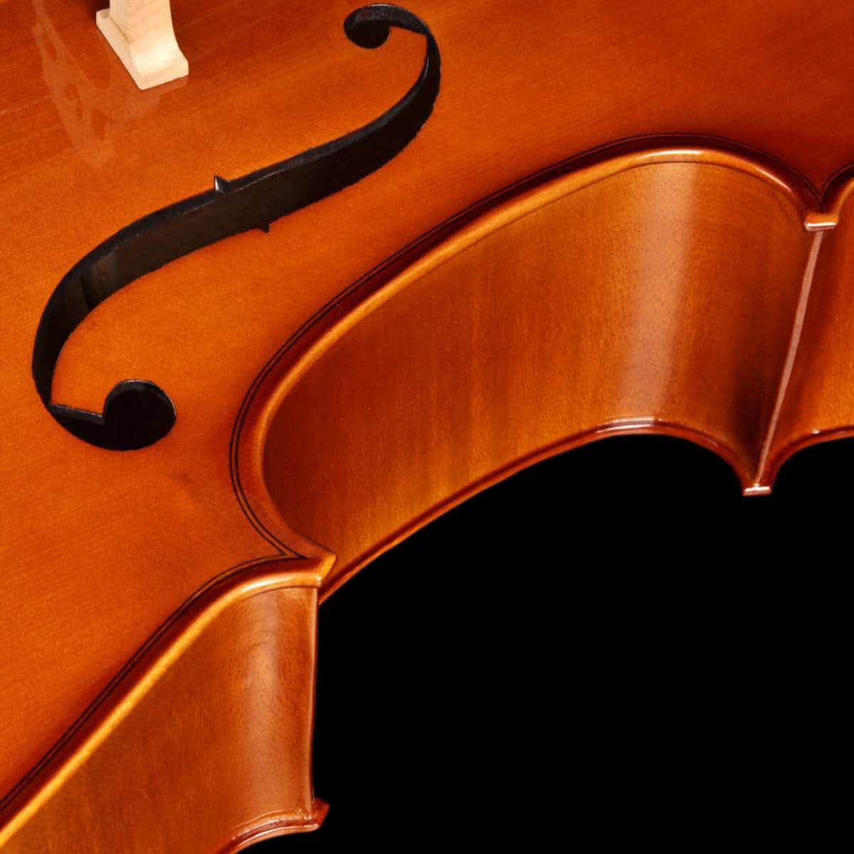 ce200-violoncelo-eagle-ce200-detalhe01