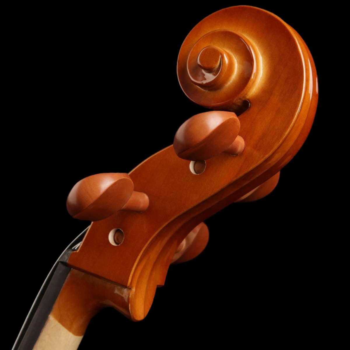 ce200-violoncelo-eagle-ce200-detalhe13