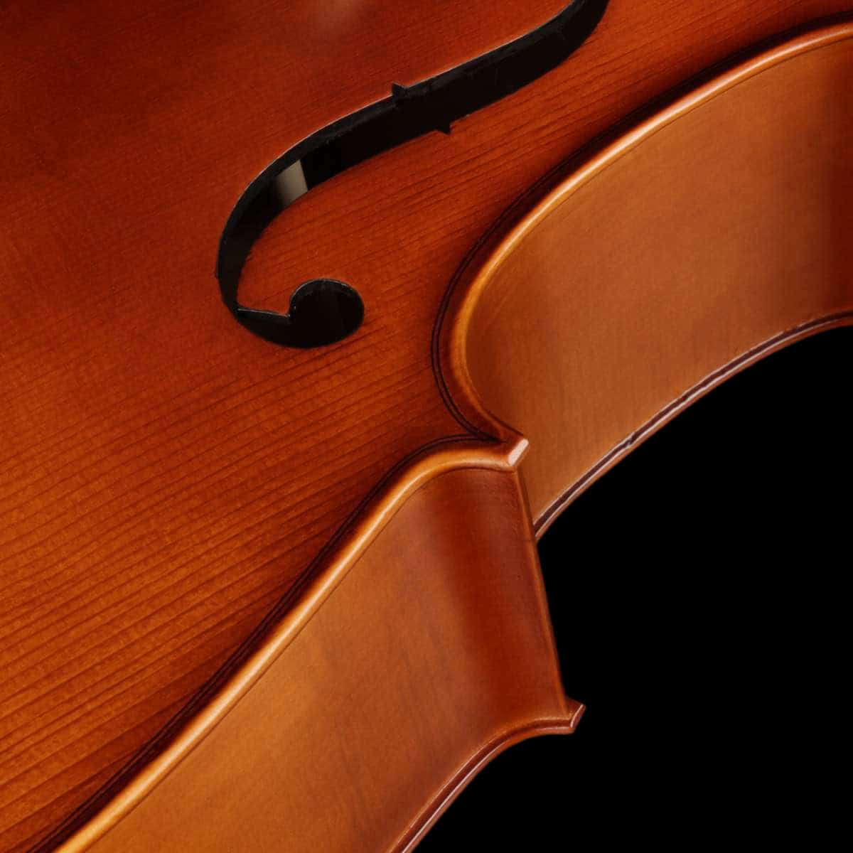 ce300-violoncelo-eagle-ce300-detalhe03