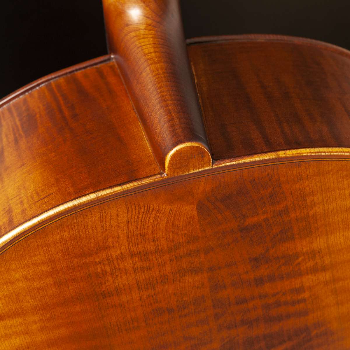 lateral do violoncelo Eagle 4/4 CE 310