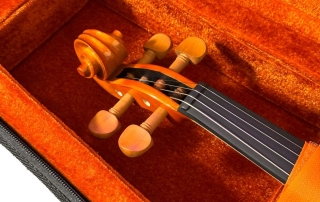 Compartimento estojo de violino Hofma