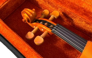 detalhe-violino-hofma-compartimento-estojo