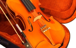 Violino e arco Hofma