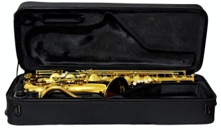 estojo de saxofone tenor hofma hst403 detalhe aberto