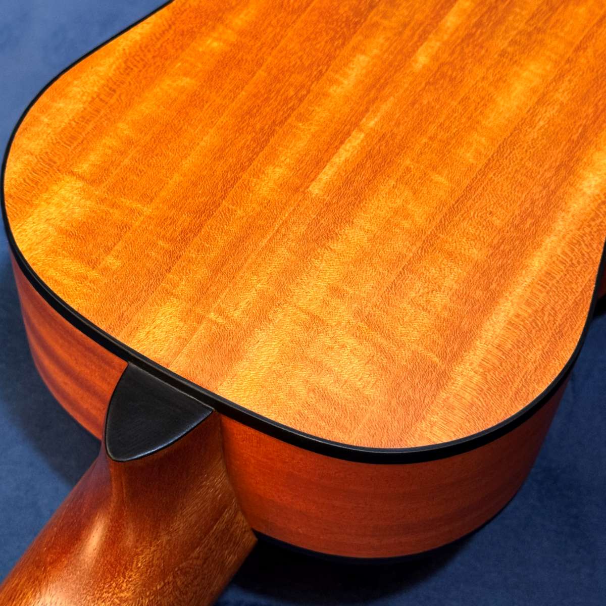 Fundo de violão Shelby, guitalele GK6M