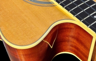 hbs190-baixo-eletroacustico-4-cordas-hofma-detalhe10