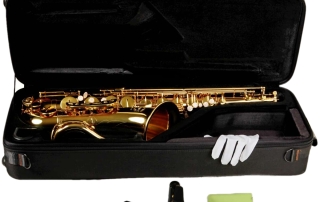 estojo de saxofone tenor hofma hst403 com acessorios