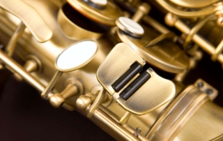 saxofone alto dourado envelhecido eagle sa500 vg