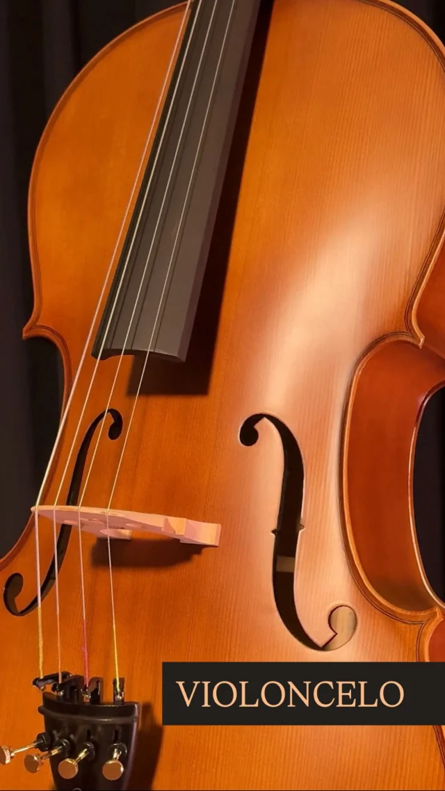 O som que emociona começa com o instrumento certo. 😉Os violoncelos Eagle unem construção cuidadosa, trabalho artesanal e o uso de madeiras selecionadas, resultando em um timbre encorpado, equilibrado e cheio de expressão.  Com qualidade comprovada, a Eagle é uma marca amplamente recomendada por professores e músicos profissionais, acompanhando instrumentistas em todas as fases da jornada musical — do estudo ao palco.🎻✨  #eagle #eagleinstrumentos #eagleinstrumentosmusicais #eaglevioloncelo