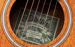 Roseta de violão Shelby SGA196C