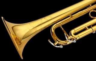 trx540-trompete-serie-master-eagle-detalhe05 trompete laqueado eagle master series leadpipe em bronze 85/15 detalhe campana e engraving