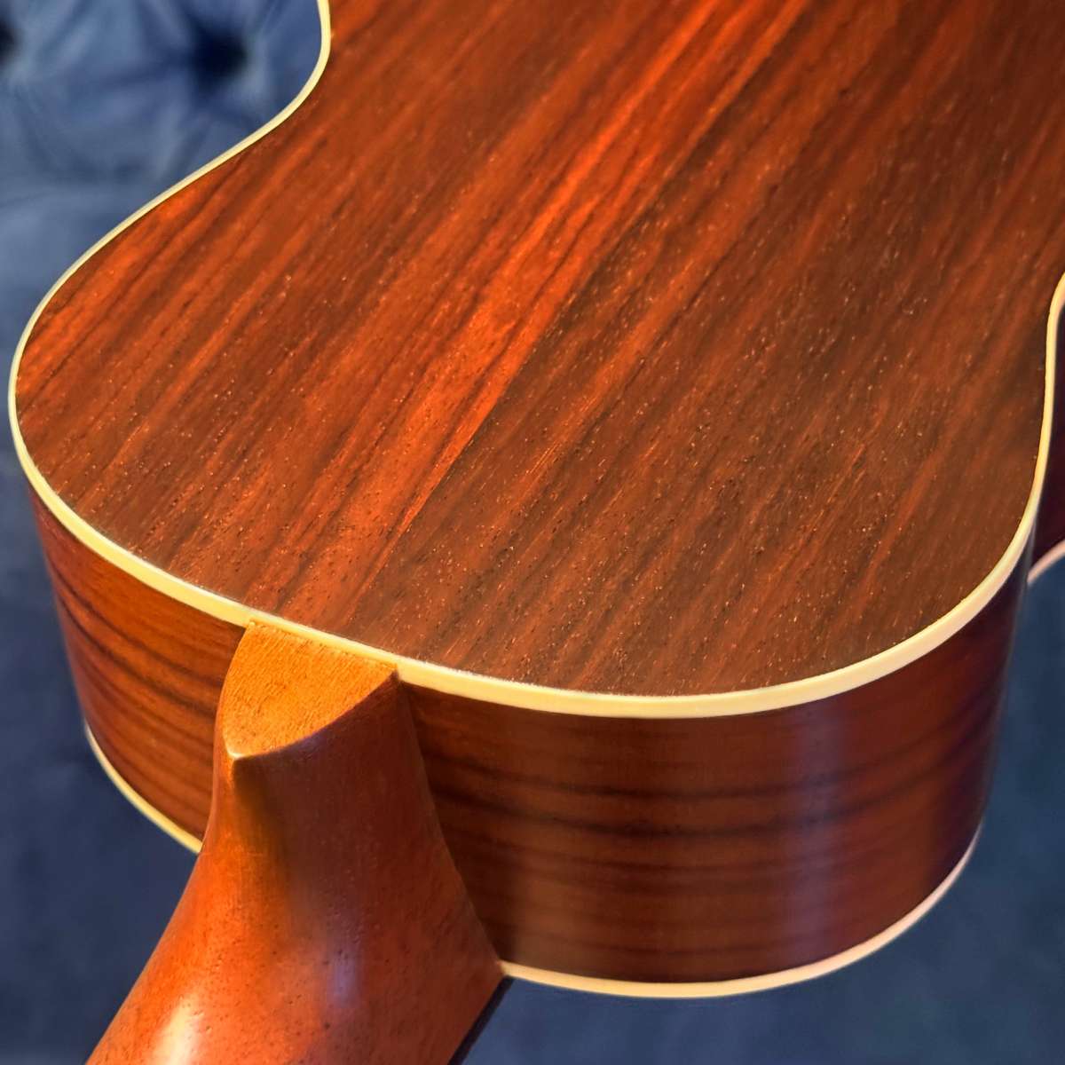 Fundo de ukulele Shelby SU 23R