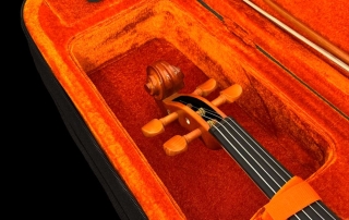 va152-viola-eagle-pro-series-detalhe-estojo Estojo de viola de arco Eagle VA152