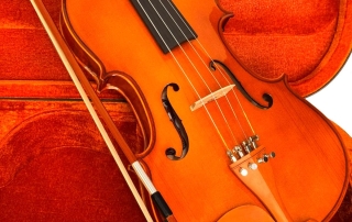 va152-viola-eagle-pro-series-violino