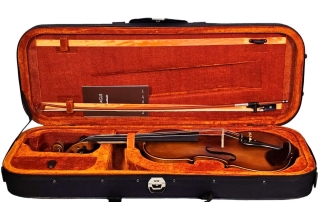 va180-viola-eagle-master-series-va180-detalhe-estojo-aberto viola de arco profissional eagle master series estojo aberto