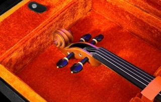 viola de arco profissional eagle master series voluta