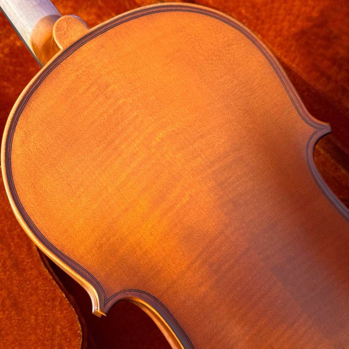 Costas de viola Eagle VA 182