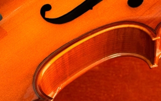 Lateral de viola Eagle VA150