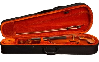 Estojo de viola de arco Eagle VA 150