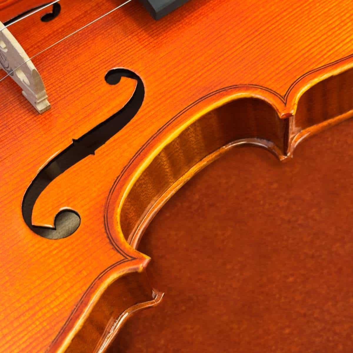 violino-eagle-master-series-ve145-detalhe01