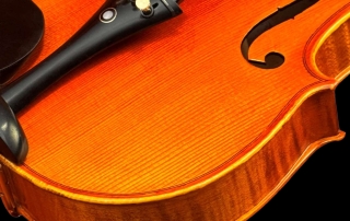 violino-eagle-master-series-ve145-detalhe01 violino eagle master series ve145 veios naturais da madeira, detalhe tampo