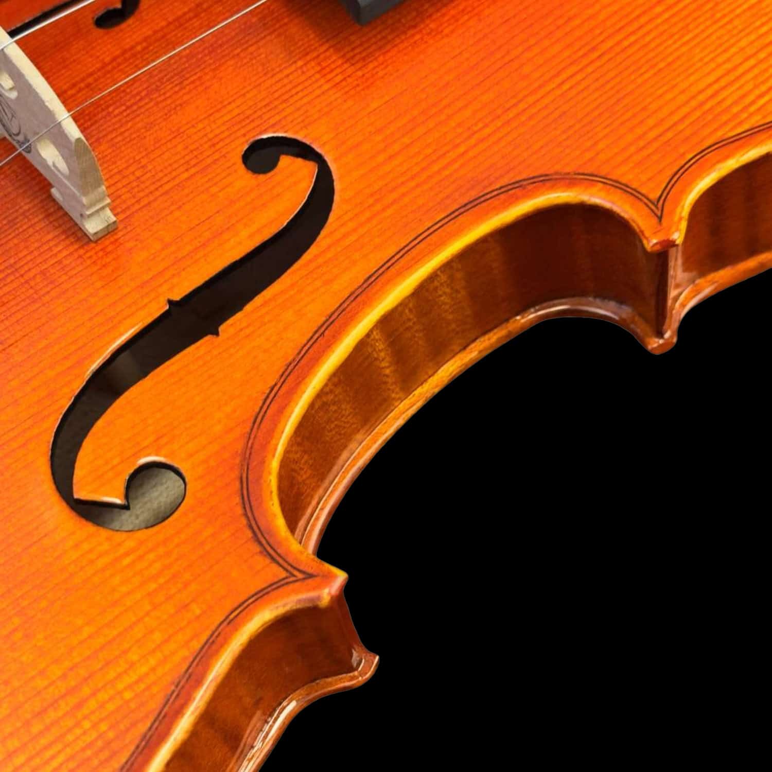 violino-eagle-master-series-ve145-detalhe04 lateral do violino Eagle 4/4 VE 145