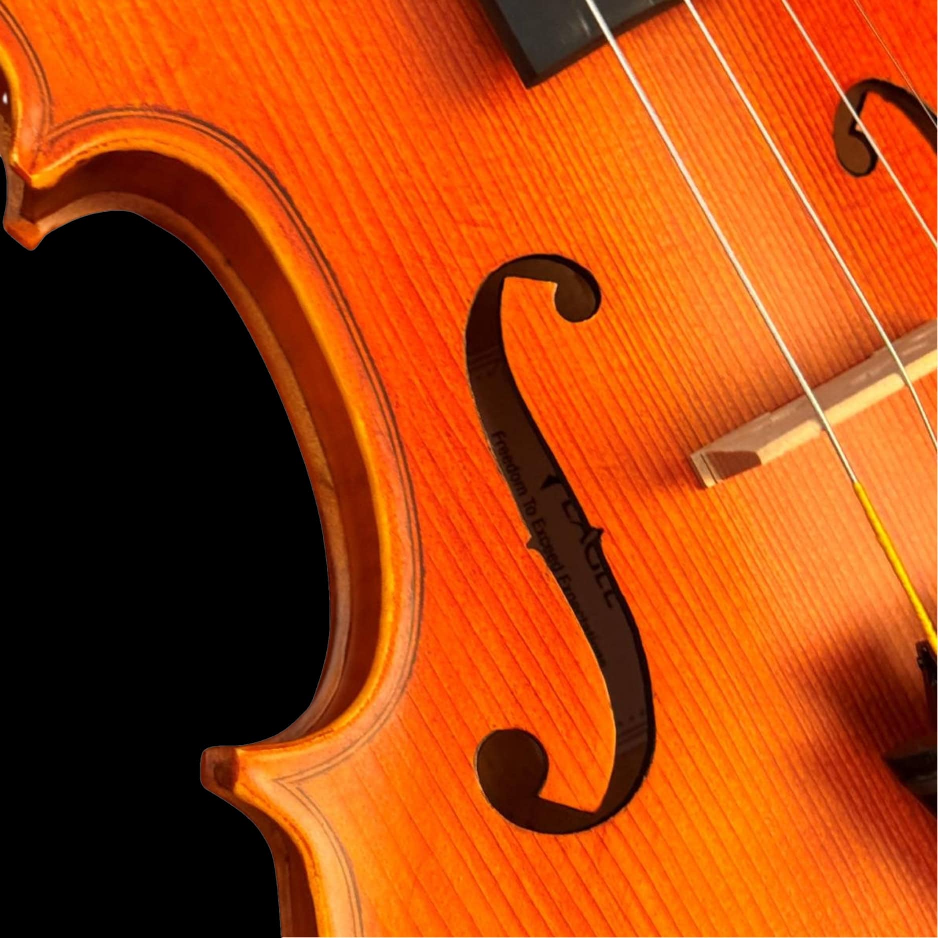 lateral do violino Eagle 4/4 VE 245