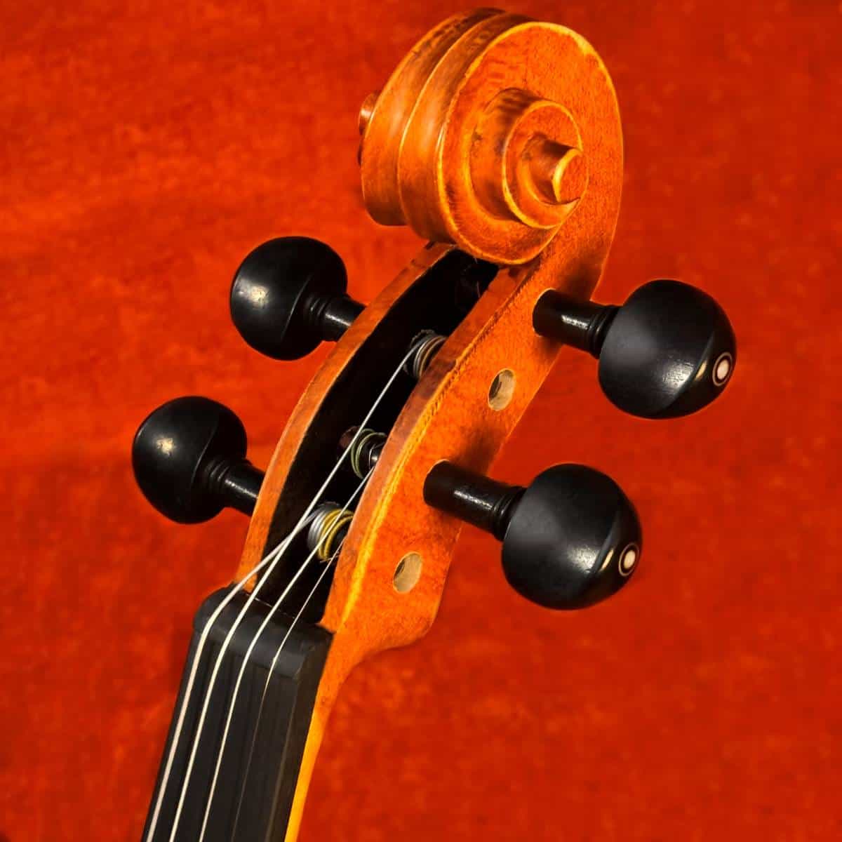 violino-eagle-master-series-ve245-detalhe03
