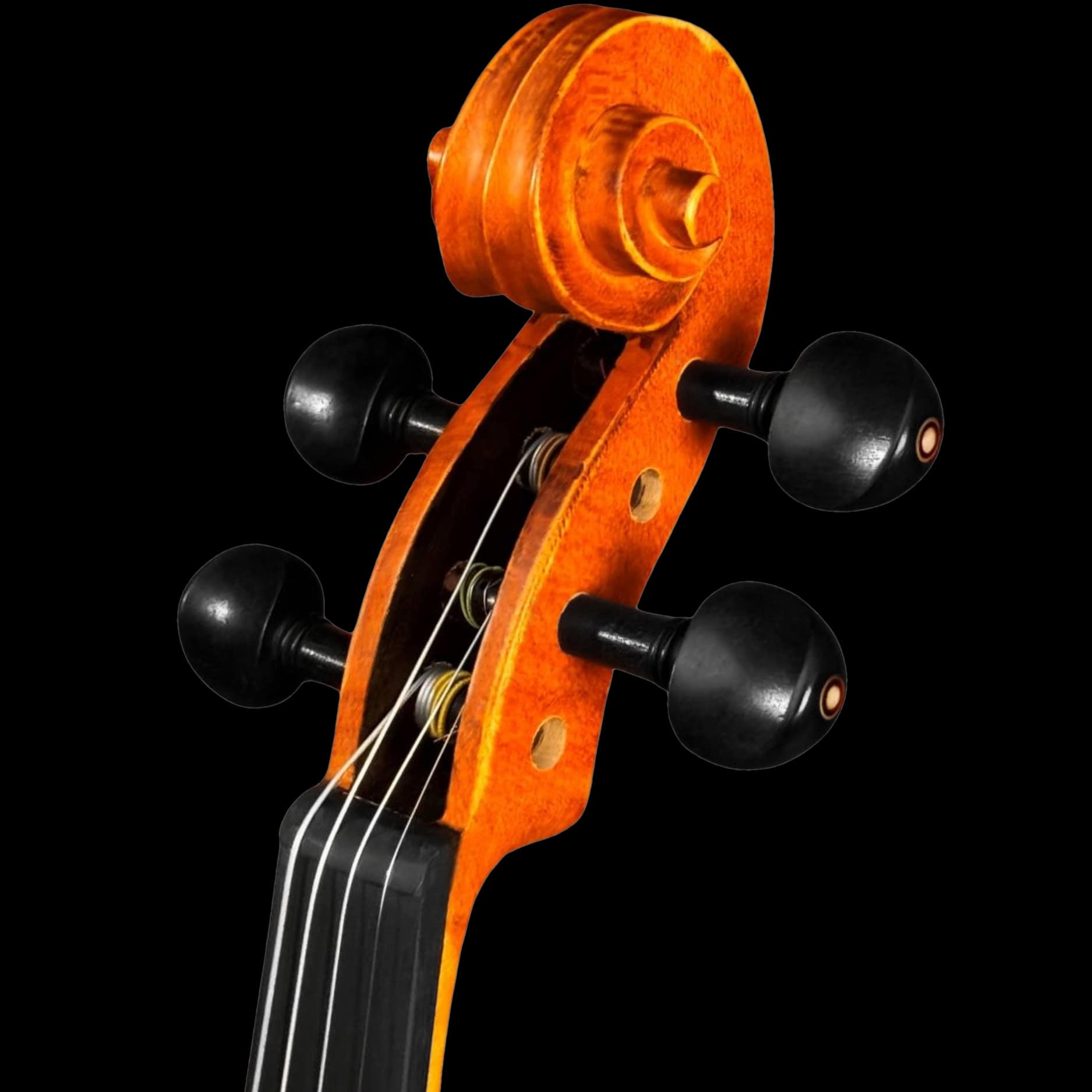 voluta do violino Eagle 4/4 VE 245