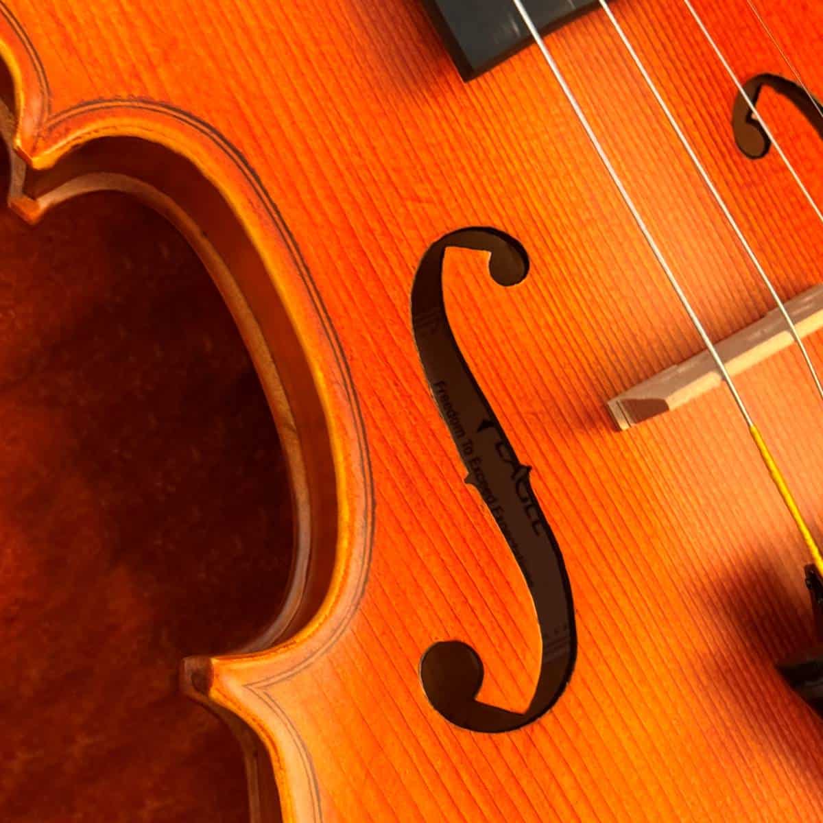 violino-eagle-master-series-ve245-detalhe05