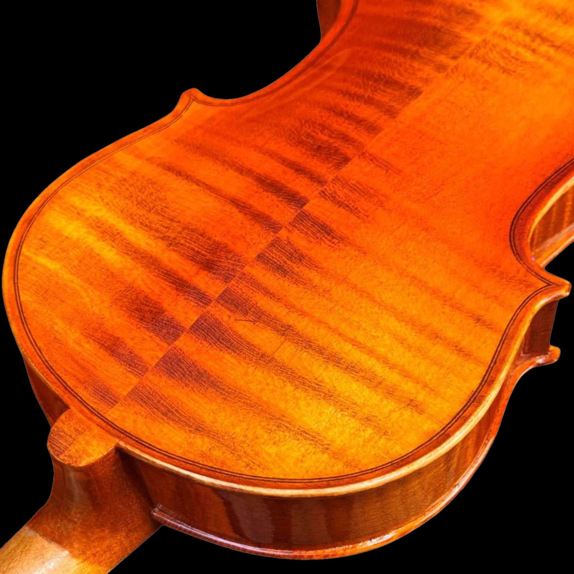 costas do violino Eagle 4/4 VE 245 fundo do violino Eagle 4/4 VE 245