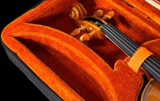 violino-eagle-pro-series-detalhe-compartimento-para-espaleira violino profissional eagle pro series voluta