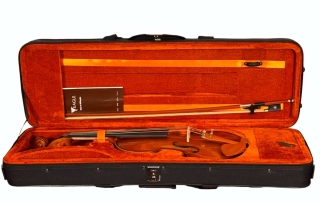 violino-eagle-pro-series-ve431-detalhe-estojo-aberto