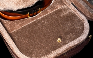 violino-profissional-eagle-concerto-series-detalhe-compartimento-interno violino profissional eagle master series compartimento interno fechado