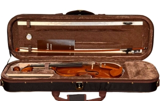 violino profissional eagle concerto series vk844 estojo aberto