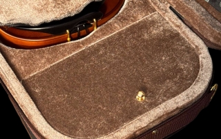 violino-profissional-eagle-master-series-detalhe-compartimento-interno-fechado violino profissional eagle master series compartimento interno fechado
