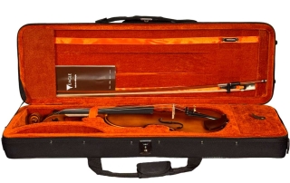 violino-profissional-eagle-master-series-detalhe-estojo-aberto violino profissional eagle master series estojo aberto