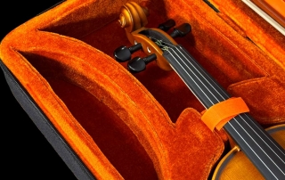 violino-profissional-eagle-master-series-detalhe-voluta